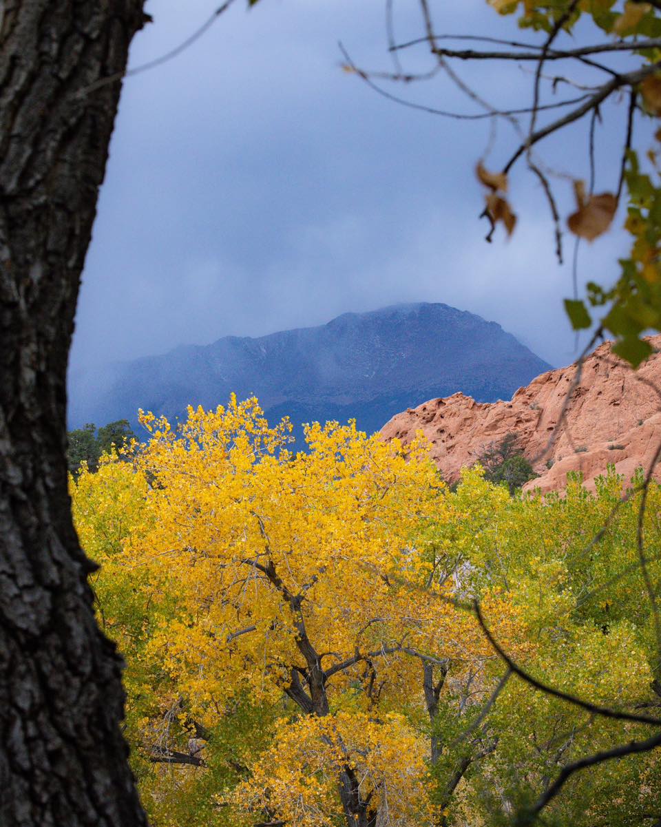 Garden of the Gods: Where Colorado Springs Comes Alive