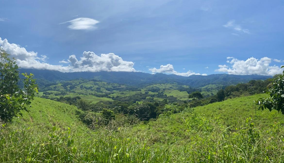 El Encanto Estate a Legacy Property, Waterfall Regenerative Land and Carbon Neutral Sanctuary