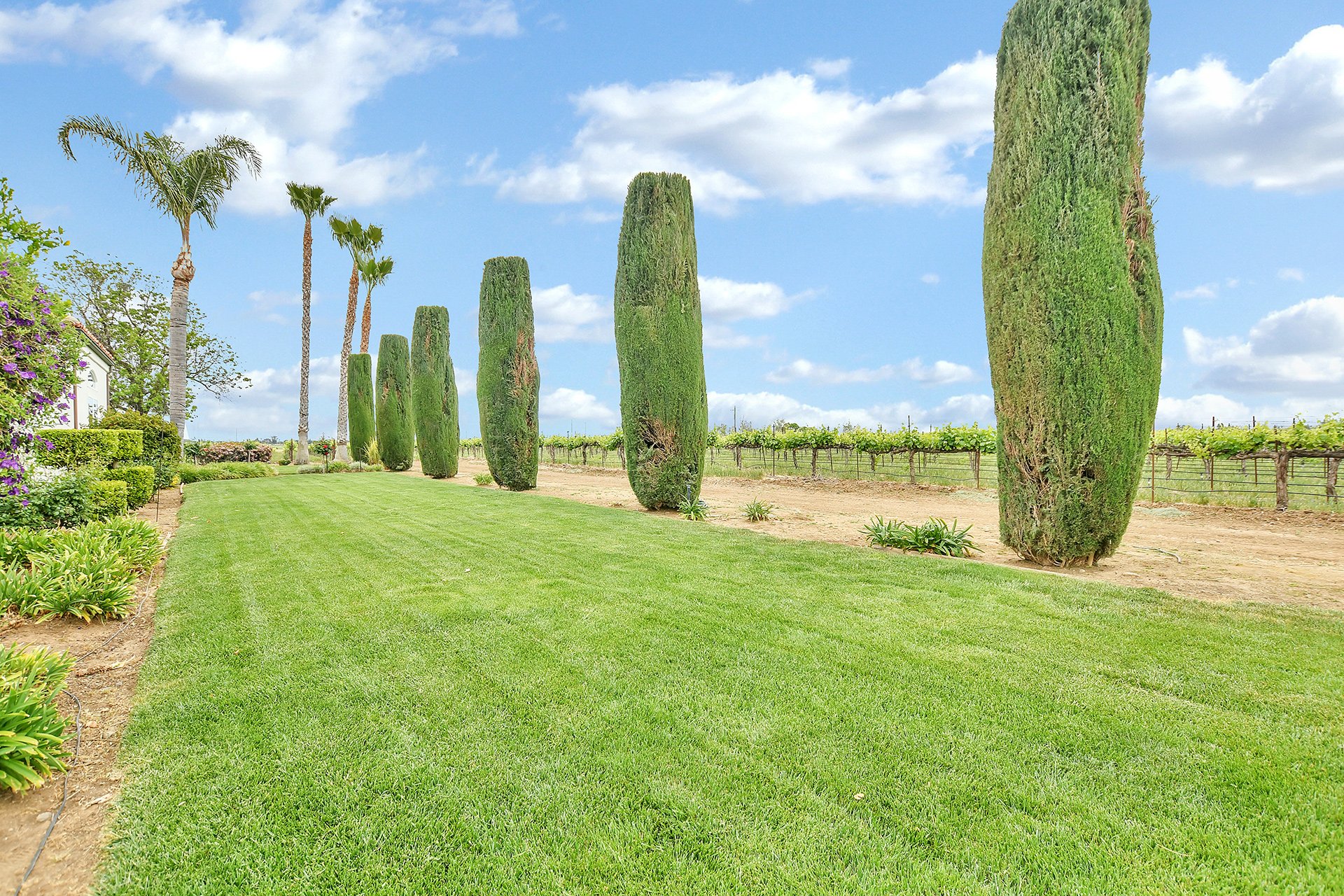 Brentwood Vineyard Estate