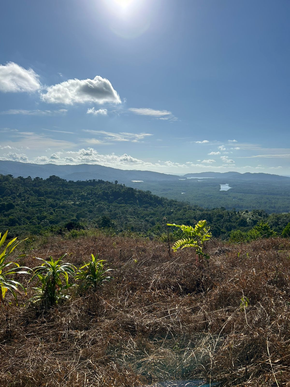 67 acres development (15 titled lots) with breathtaking views in Sierpe