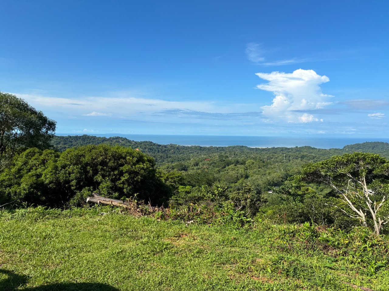 Spectacular Ocean View Lot in Ojochal Phase 9