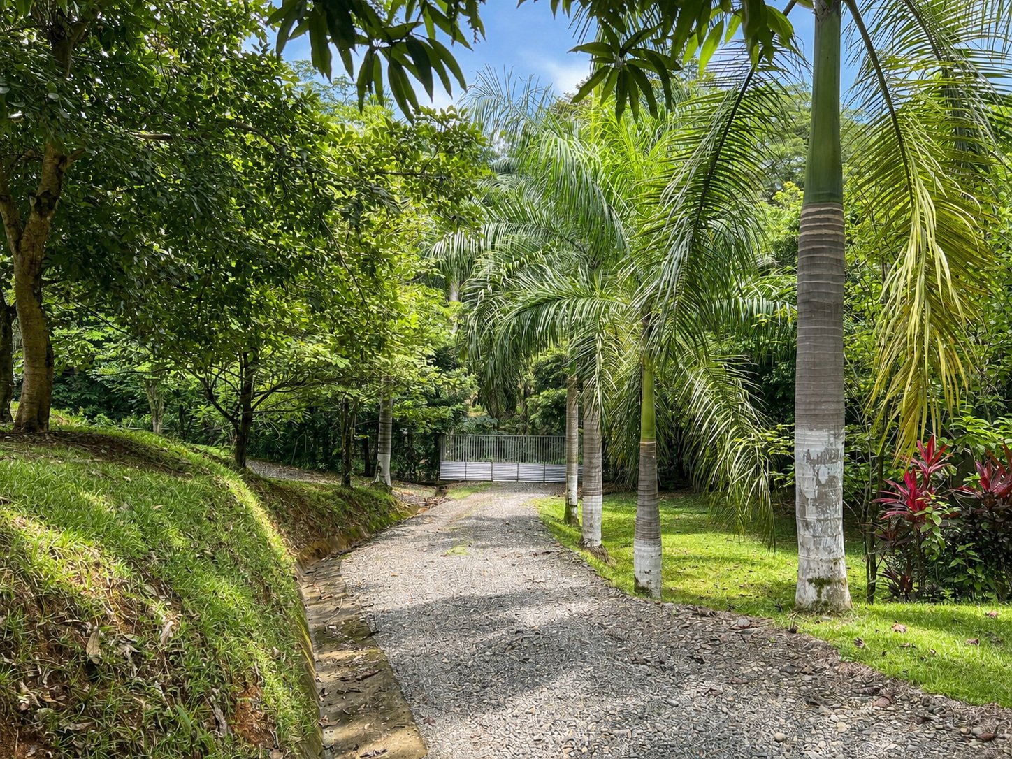 Private Single-Level Home on 1.25 Gated Acres with Fruit Trees