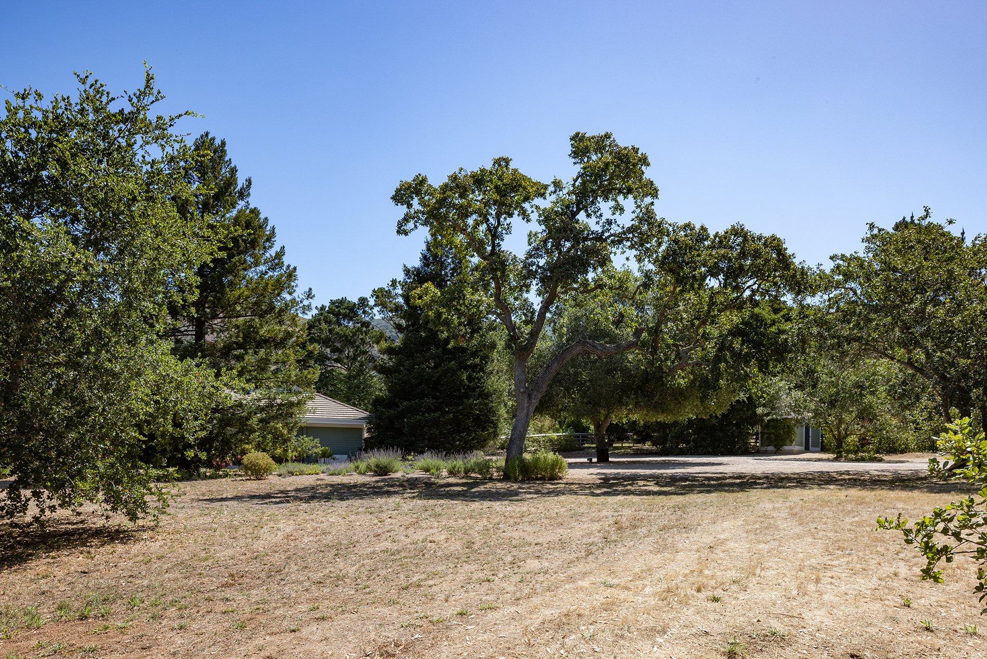 The Miramonte Estate