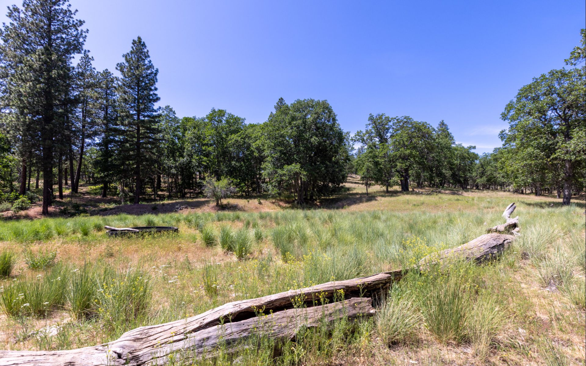 1056 Rock Creek Rd