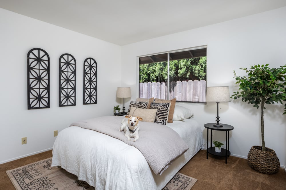 5524 Guadalupe Ct