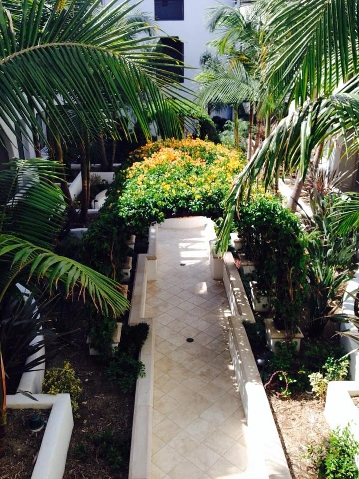 Tiled garden walkway beneath a peach bougainvillea trellis, framed by palms.