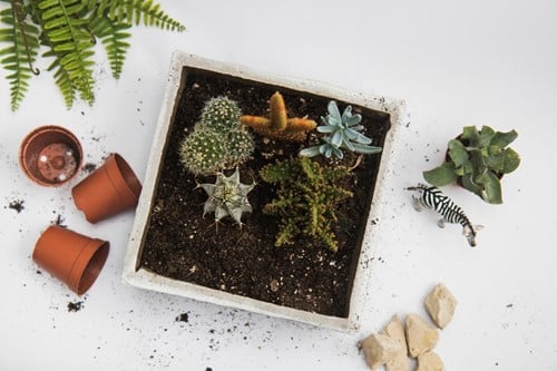 DIY Concrete Guide: Make Your Own Box Planters