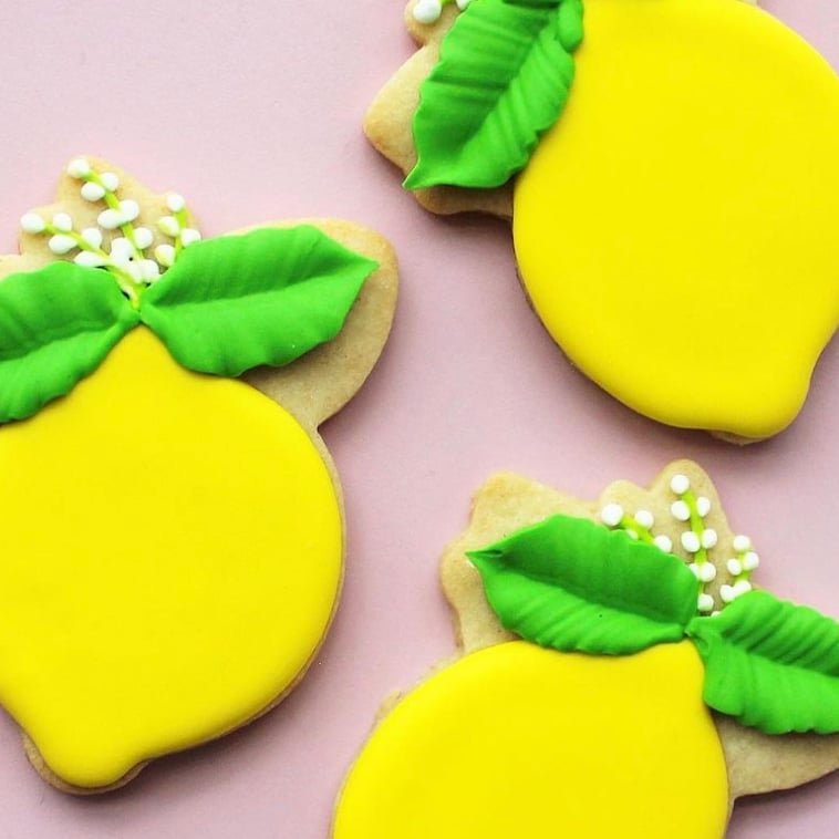 Guest houses with green lawn