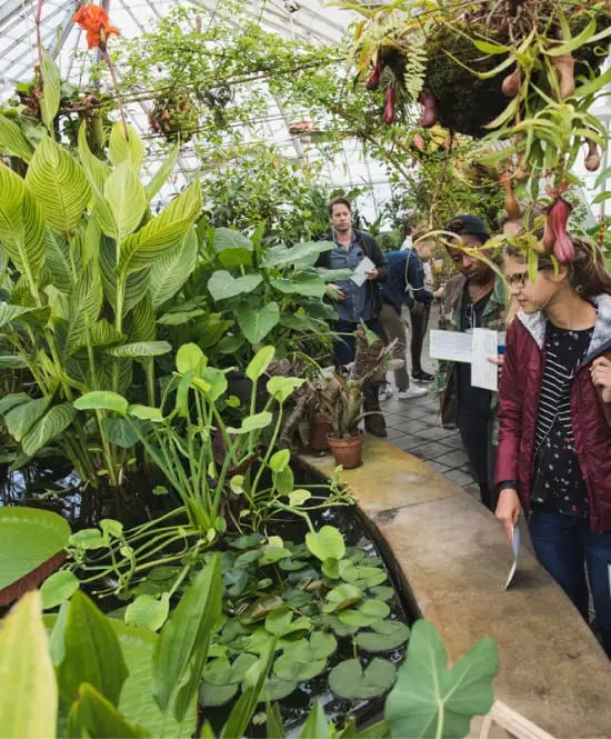 Visitors participating in an educational program or workshop inside the conservatory