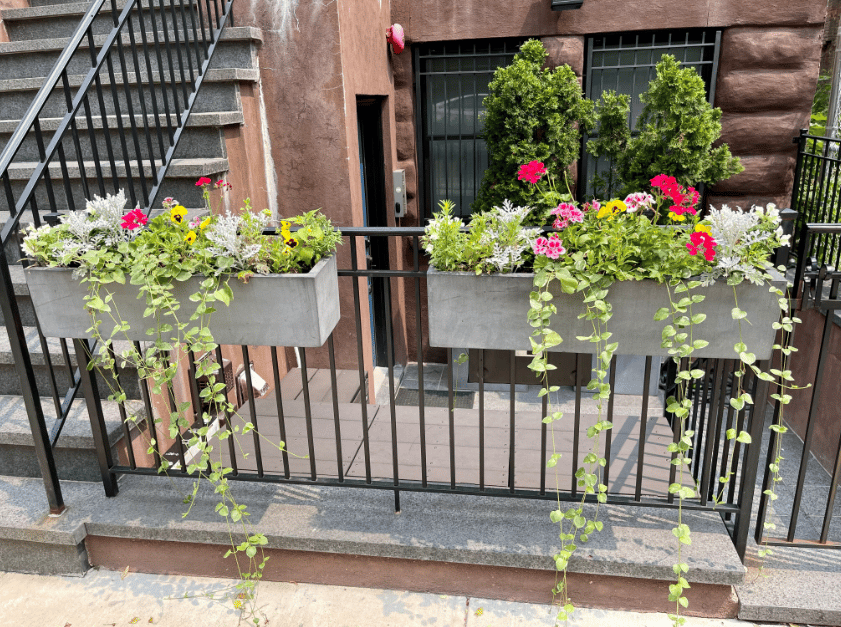 Moving to Harlem NYC