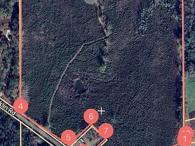 590 County Road 204