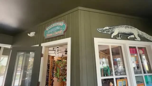 Alligator Adventure In North Myrtle Beach, SC