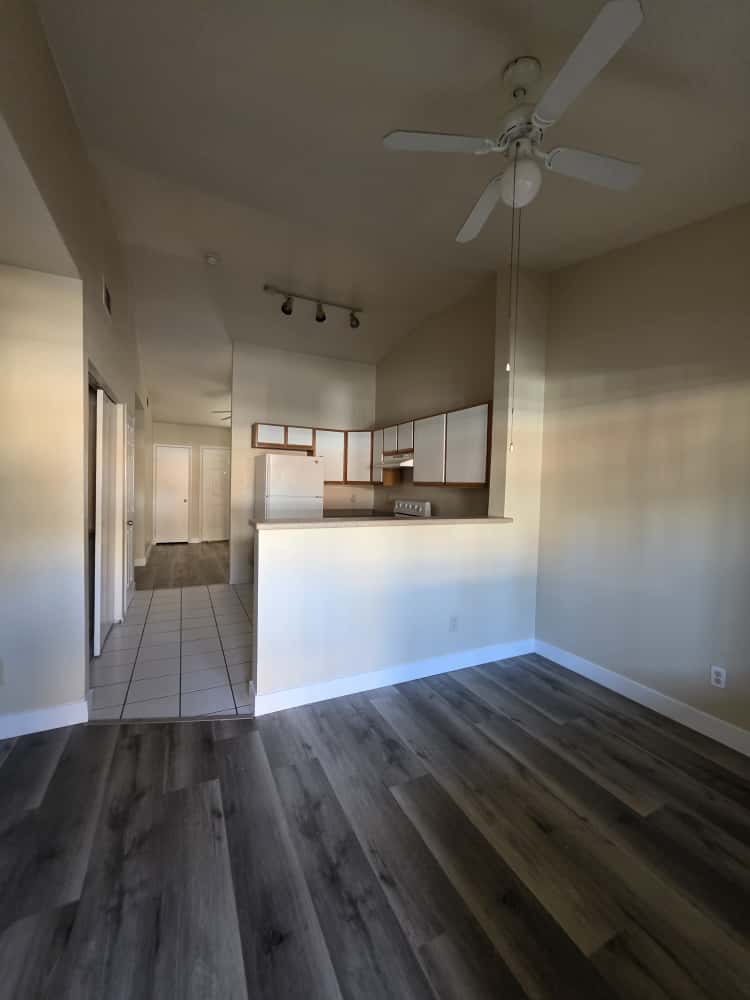3849 Soda Springs Drive - 1