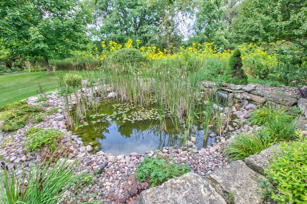 Garden pond edged with rocks, lily pads, tall grasses, and bright yellow flowers.