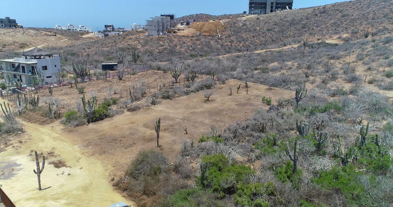 Heart of Cerritos Lot