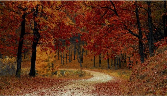 Barbara Sweeney Homes September 2026 Newsletter