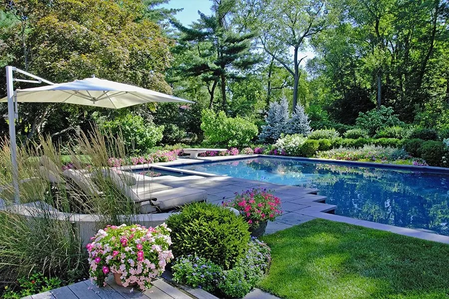  A luxurious backyard sanctuary with a sparkling pool under a natural canopy of oak trees in Silverwood, highlighting the outdoor lifestyle of the 95746 area.