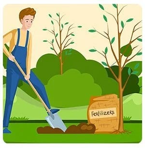 Curb Appeal Projects to Focus On If You Want To Sell Your Home This Spring