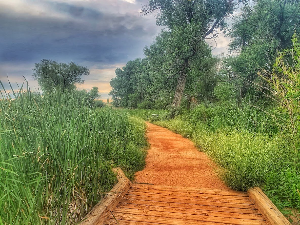 Fountain Creek Nature Center: A Must-Visit Outdoor Escape Near Colorado Springs