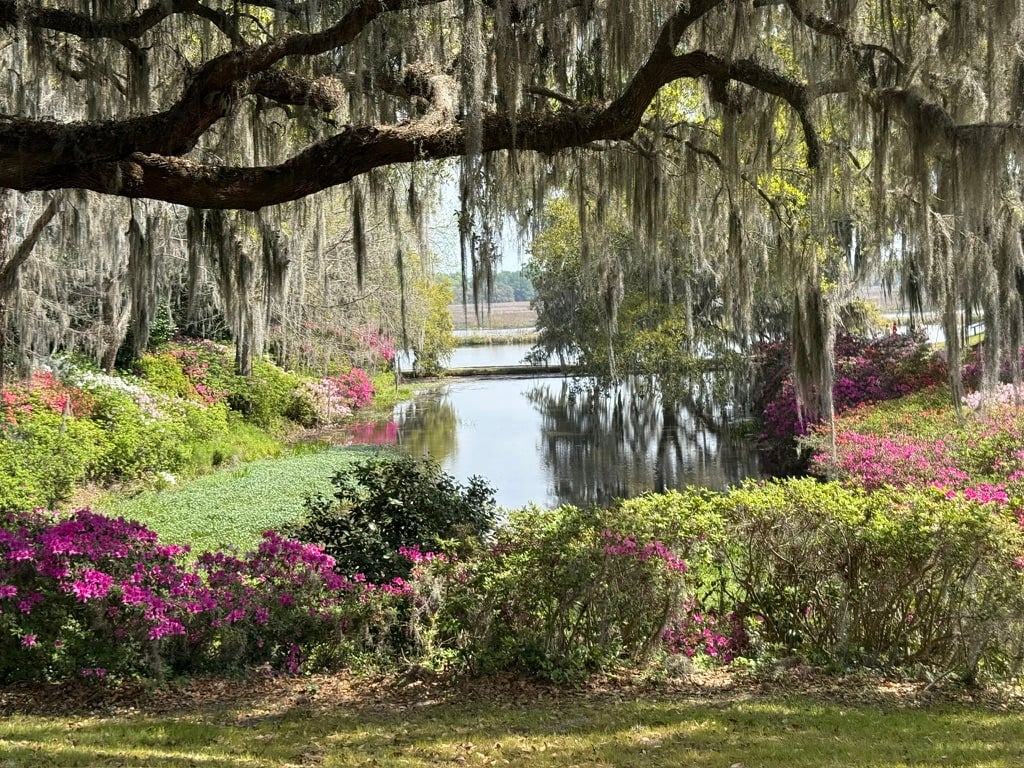 Gardens at Middleton Place