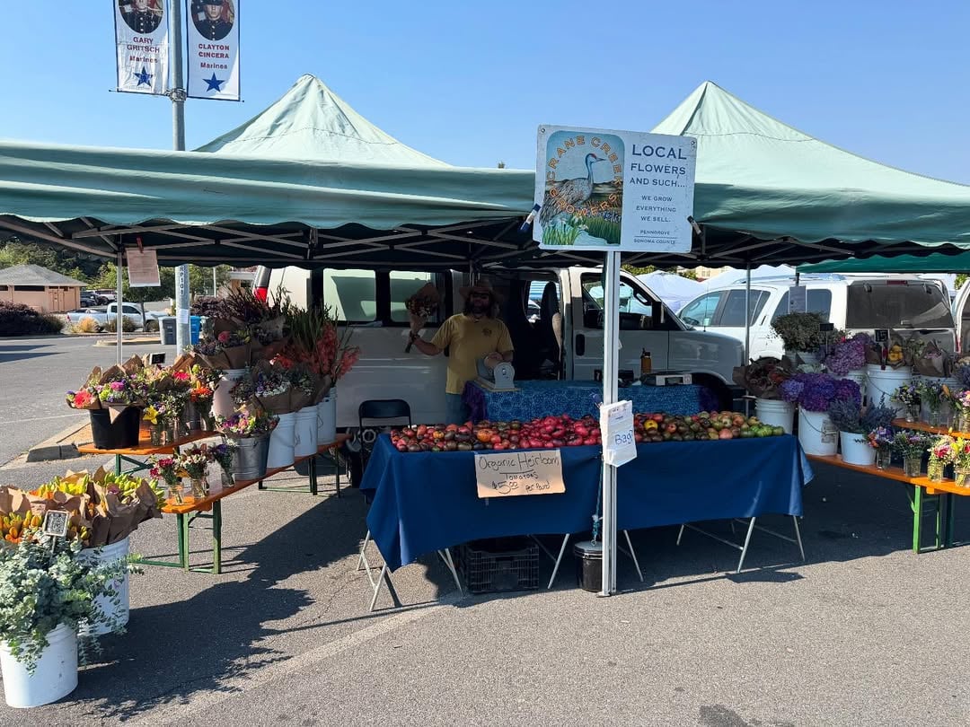 Local flowers at a farmers market in Rohnert Park, California