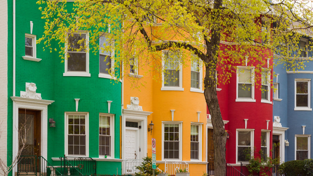 Things to Do in Washington, DC This Week (May 13–17, 2026): Play, Explore & Discover DC Differently