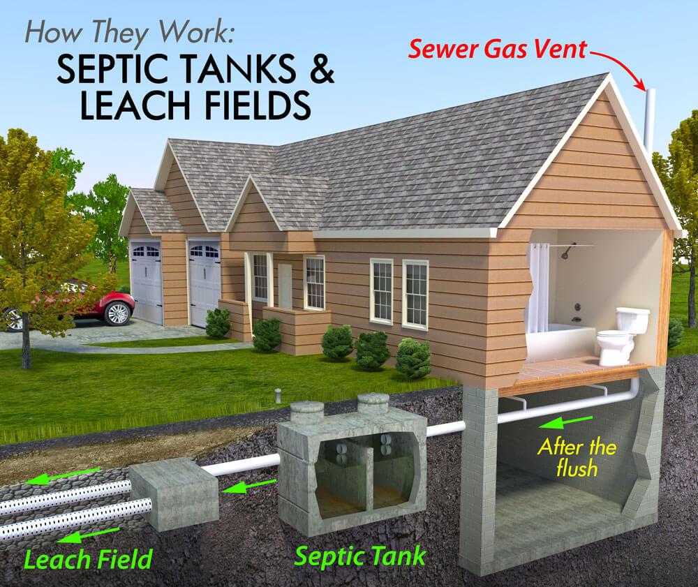 ** Let’s Talk Septic (I’ll Keep It Painless) **