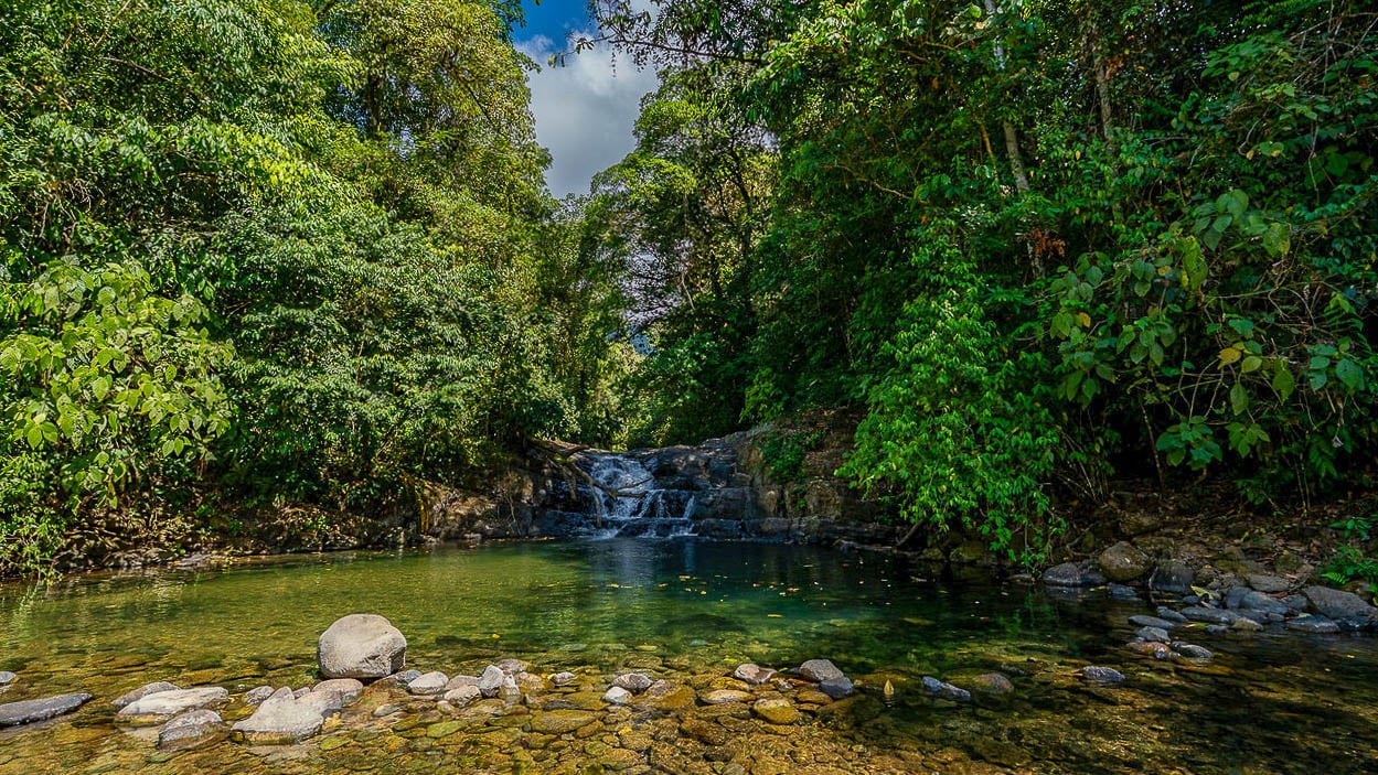 Whale Tail Views Luxury Waterfall Farm