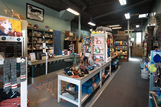 Pet store interior with shelves of toys, treats, and accessories on display