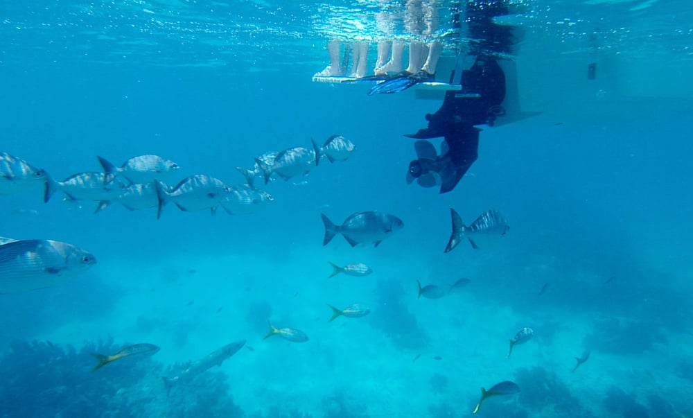 Beyond the Bay: Our Family’s Journey from Weekend Boaters to Upper Keys Explorers