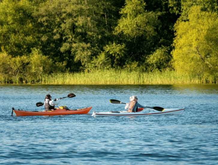 Two kayakers paddle across a blue lake beside a sunlit, tree-lined shore.