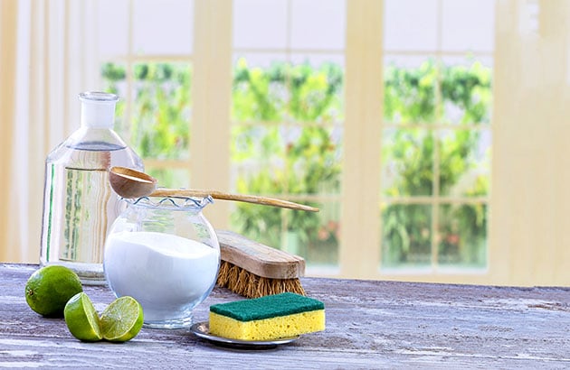 Go Greener at Home