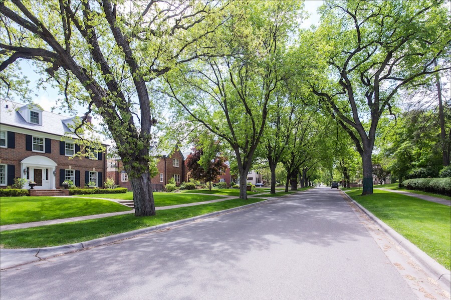 Tree-lined residential street in a Minneapolis neighborhood near the Chain of Lakes