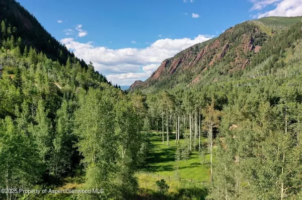 Forested mountain valley with a green meadow and slender aspens between steep, tree-covered slopes.