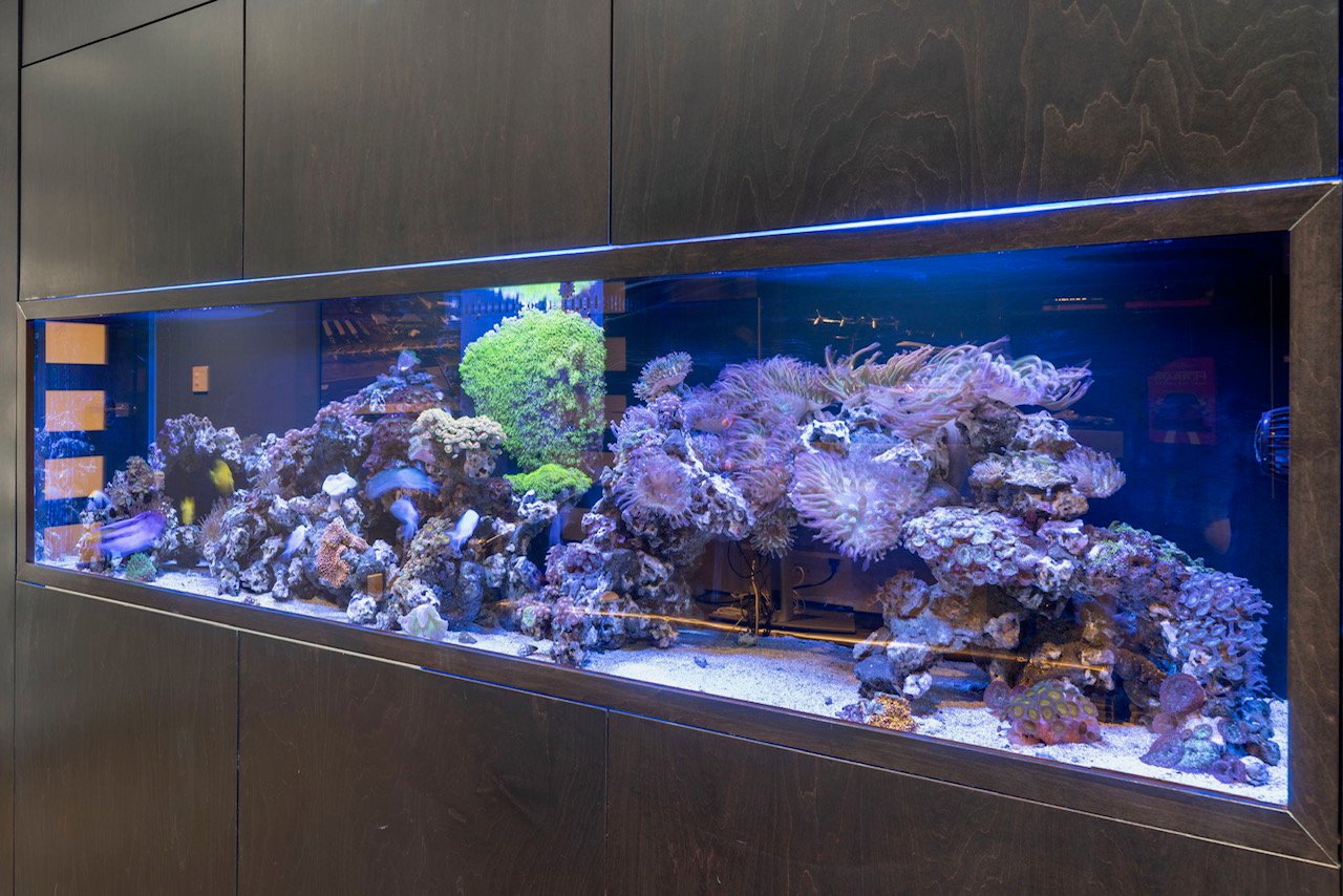 19 Bearspaw Ridge Crescent