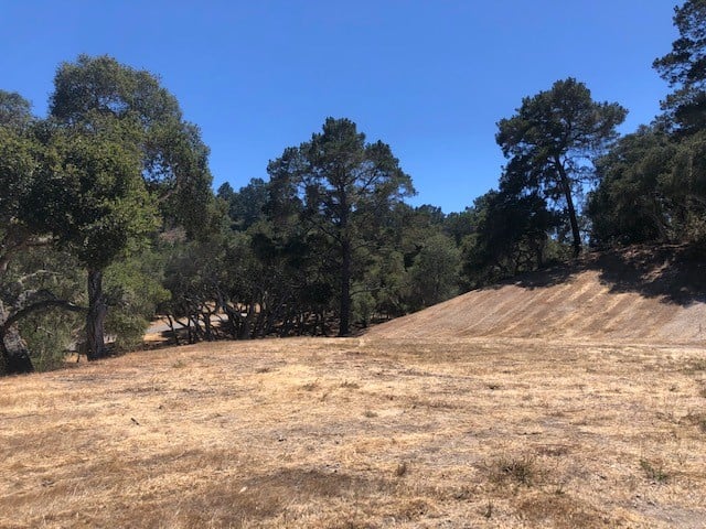 7735 Paseo Venado (Lot 82)
