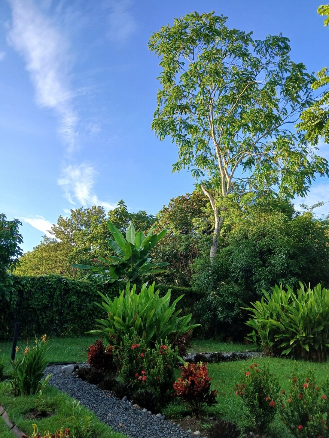 Investment Opportunity! Eco-Friendly Rental Property Near Playa Chaman and Playa Colonia