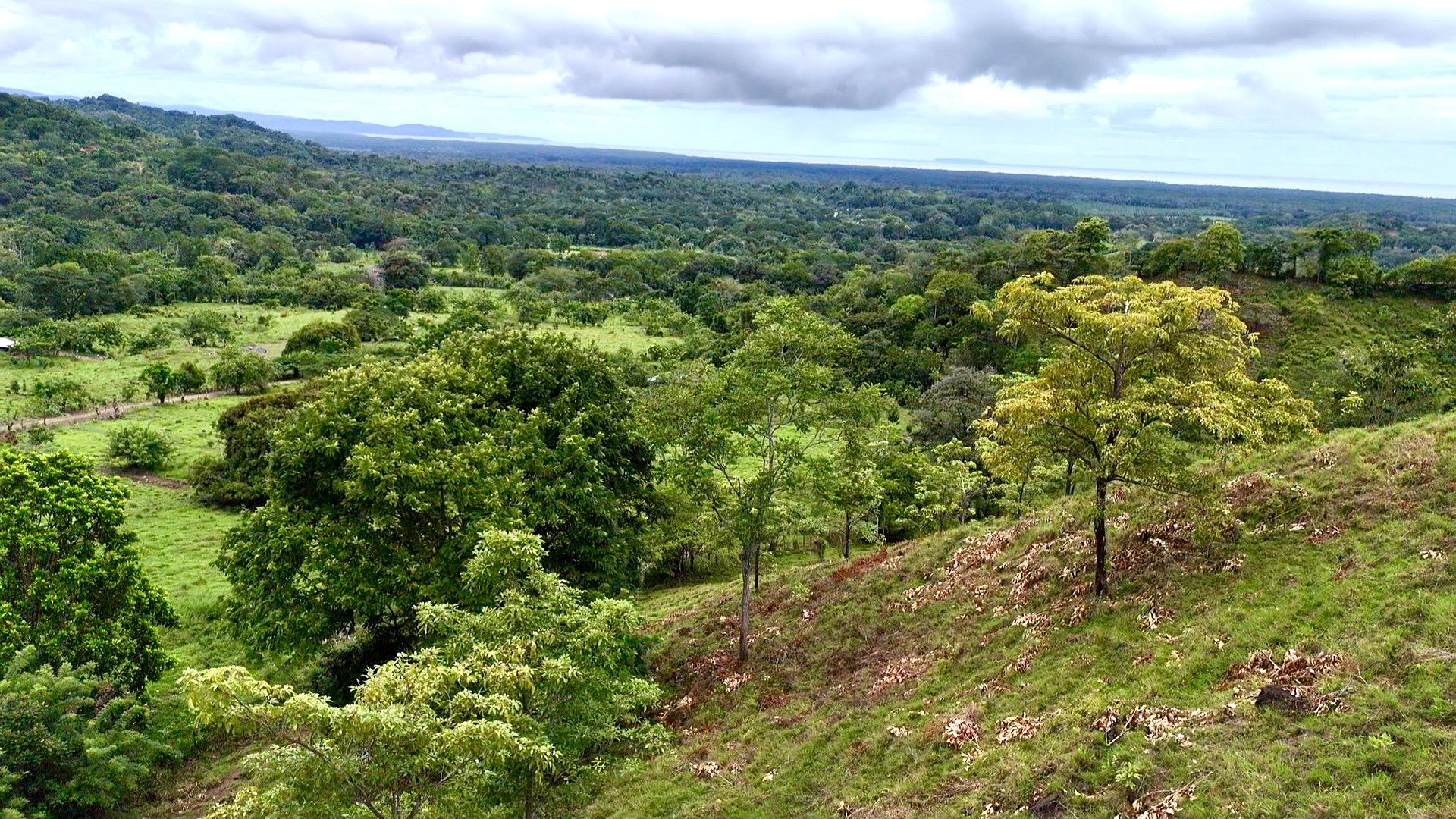 Ocean View Sanctuary in San Buenas – 4.94 Acres of Pastures & Easy Accessaccess