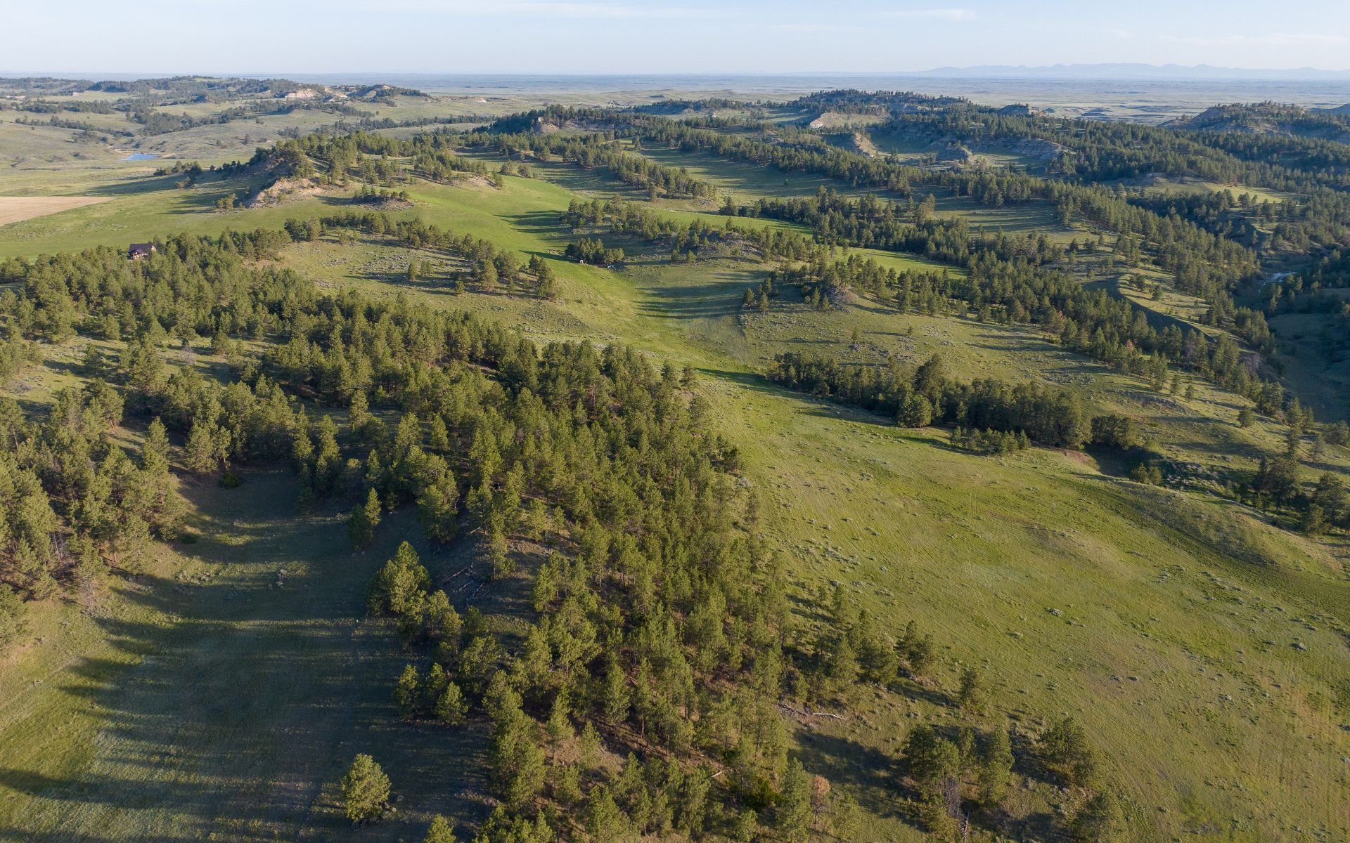 Elk Rich Ranch