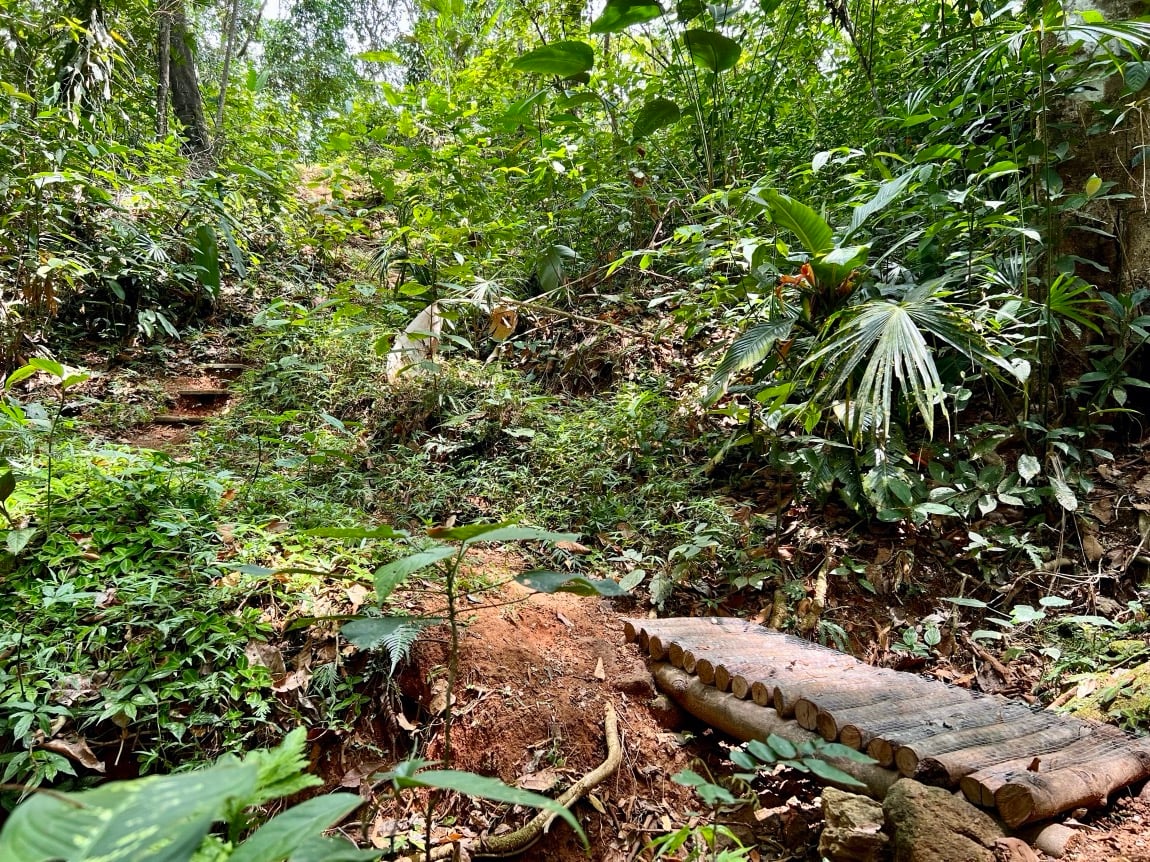 Eco-Luxury Home and Cabins with Waterfall, Ocean Views, and Organic Farming Potential