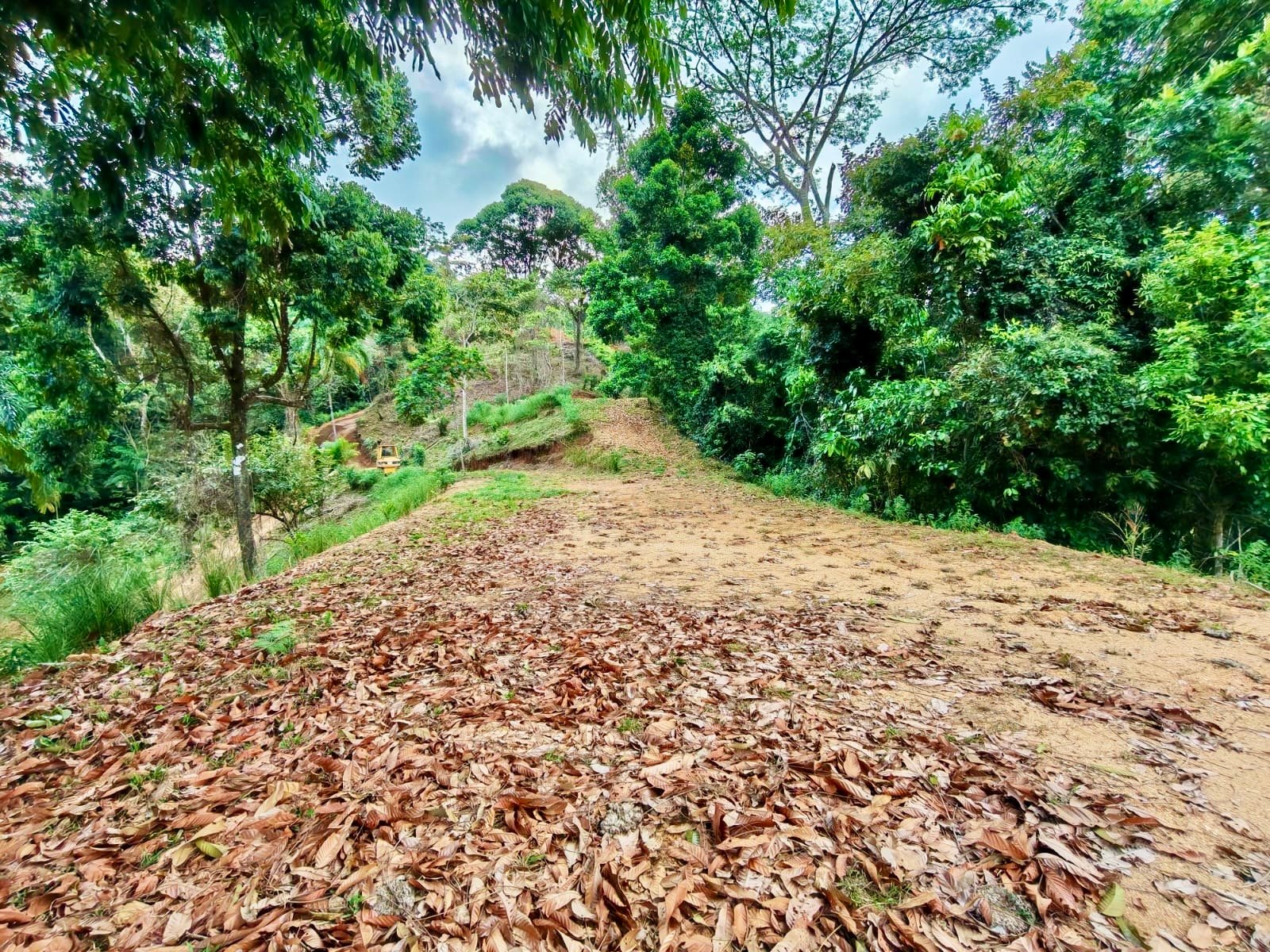 24.7-Acre Ocean View Eco Estate in San Cristóbal de Aguirre | 5 Building Sites