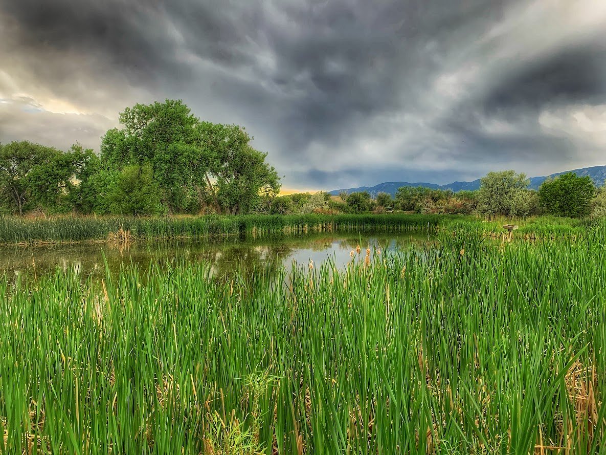 Fountain Creek Nature Center: A Must-Visit Outdoor Escape Near Colorado Springs