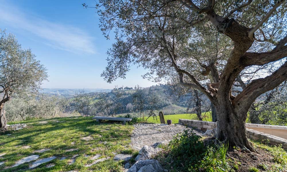 Matching Home & Business Near Fano 