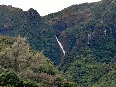 Kuhio Hwy