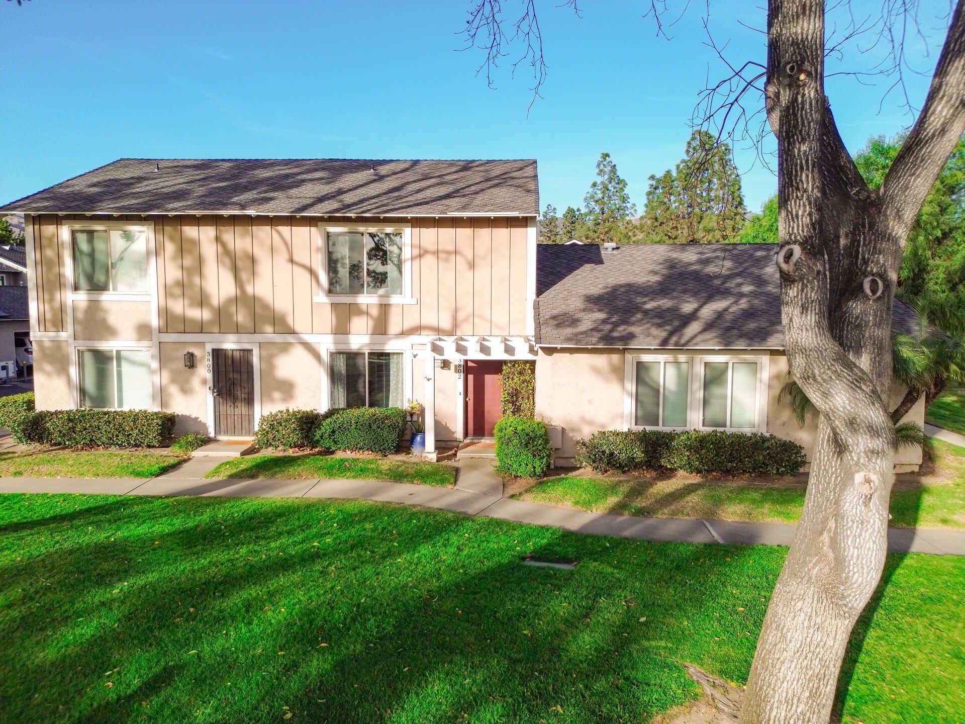 3802 Abbey Way