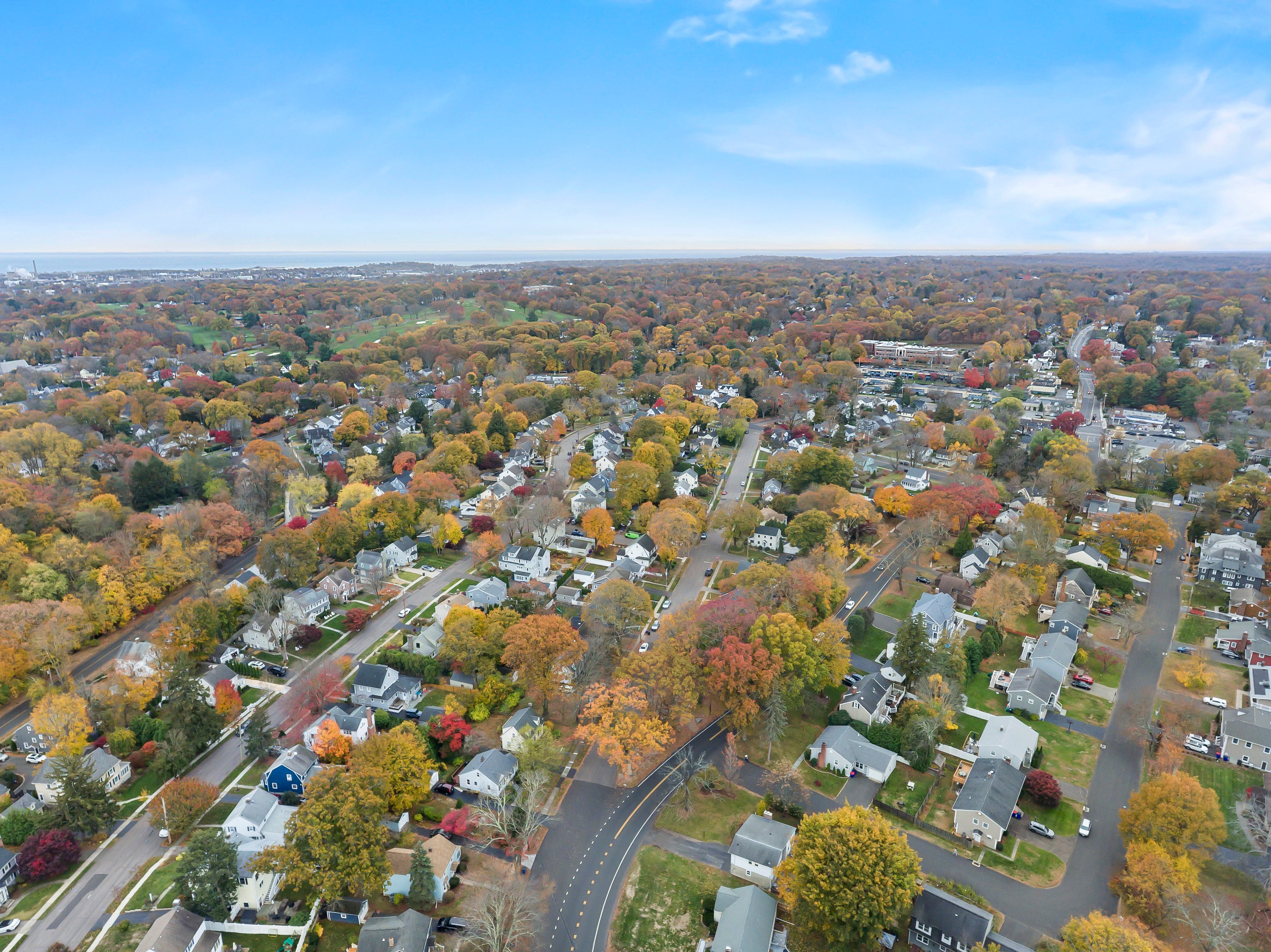 Everyday Convenience