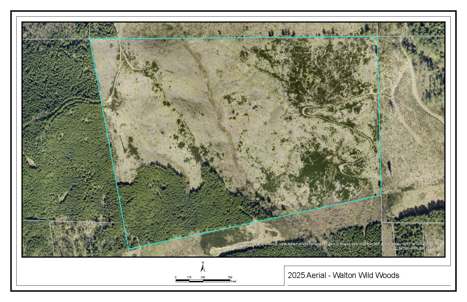 Walton Wild Woods