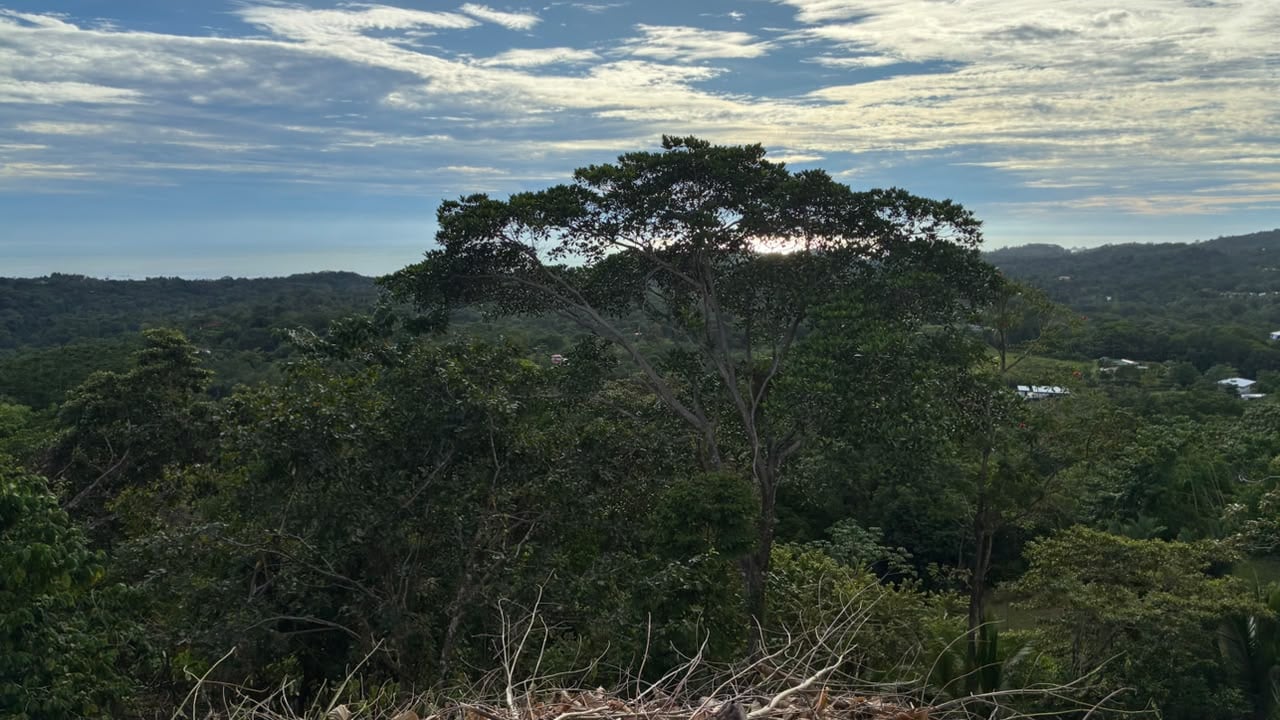 Spectacular Ocean View Lot in Ojochal Phase 9