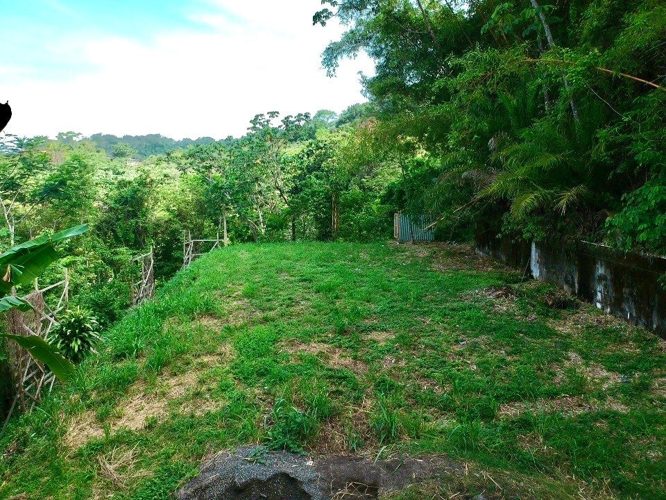 Select Ocean View Development Lot, Santa Teresa, Puntarenas