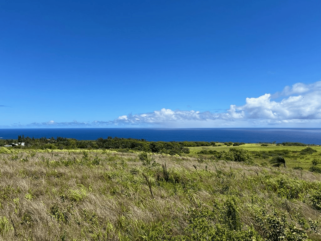 Peahi Estates